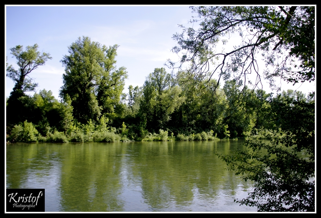 Bord du Rhône