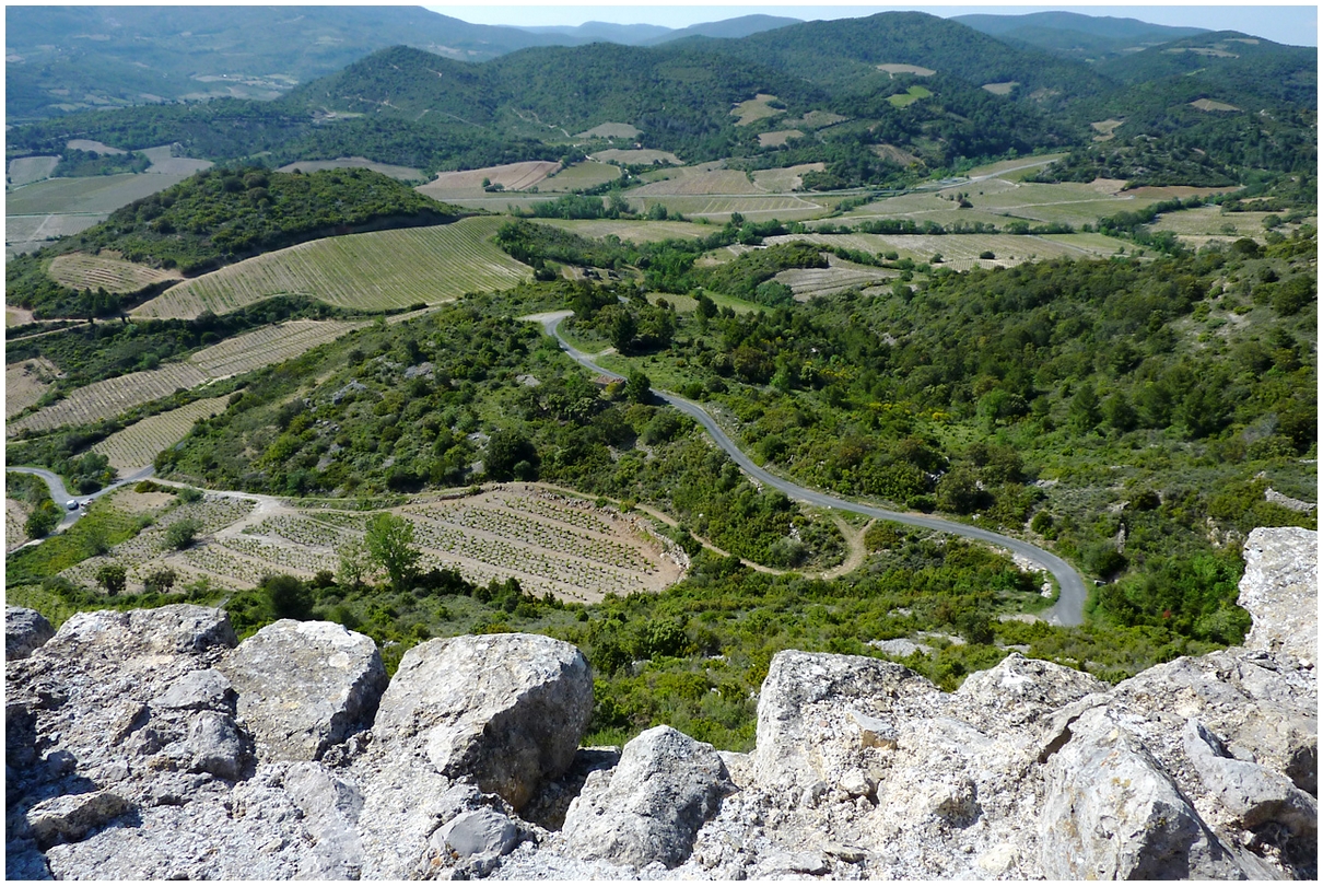 Dans les Corbières