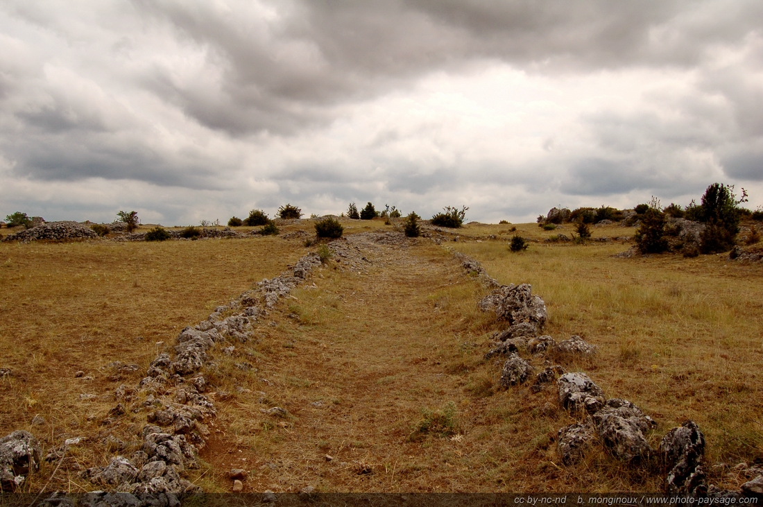 Plateau du Larzac