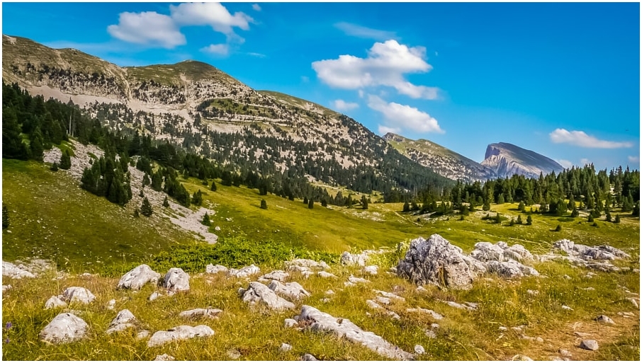 Hauts plateaux du Vercors