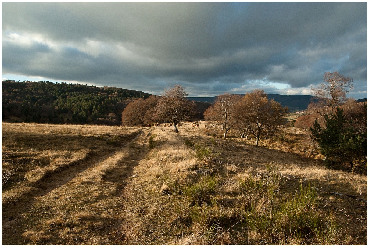 Lozère