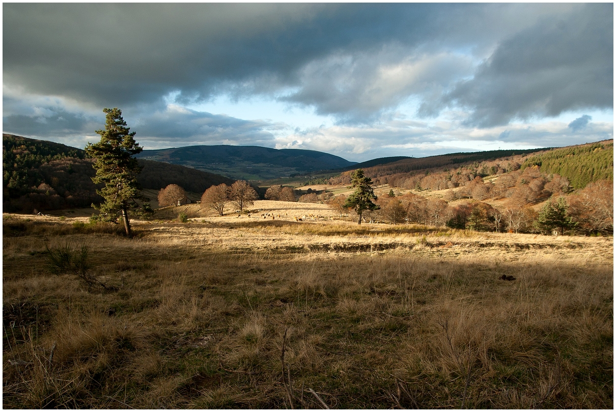 Lozère