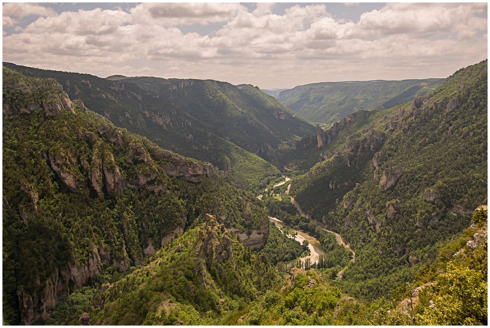 Gorges du Tarn