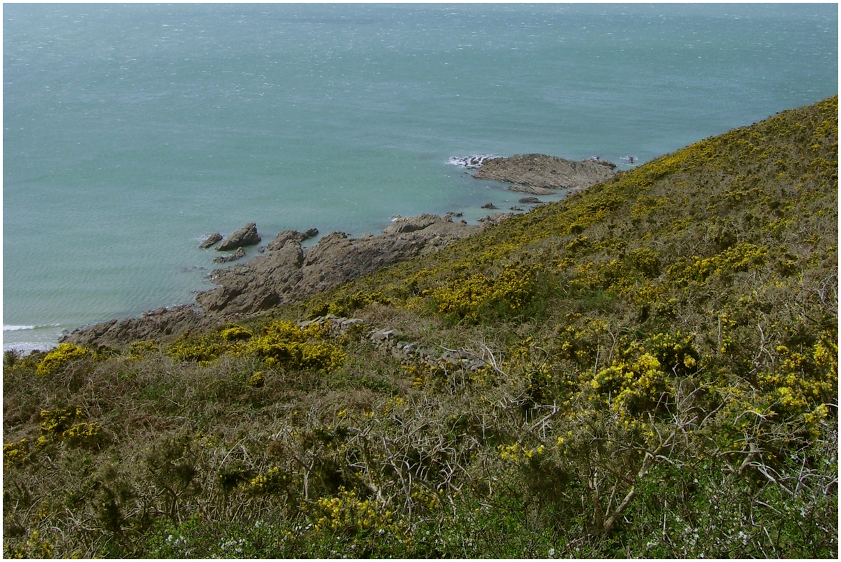 Cap de la Hague