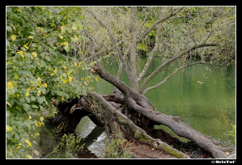 Parc de Lyon