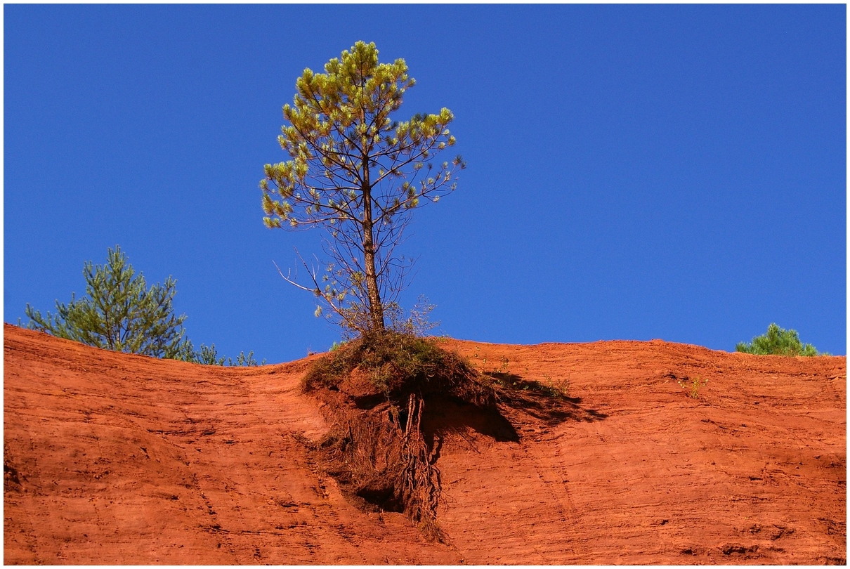 Colorado Provençal